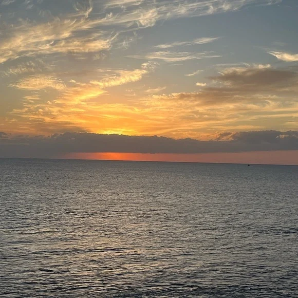 SKY BLUE NATURAL SHELL VINTAGE NECKLACE - Picture 2 of 2